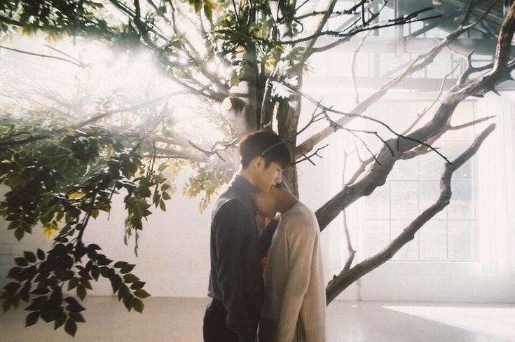 chii10iihc's tweet photo. 天気は良いけど朝晩冷え込むね🤧
あたたかく過ごそうね〜✨
#GetWellSoonTEN 
#GetWellSoonWINWIN https://t.co/QXKd4RjkFa