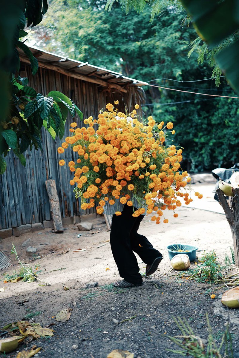 RaminNasibov's tweet image. by Pia Riverola