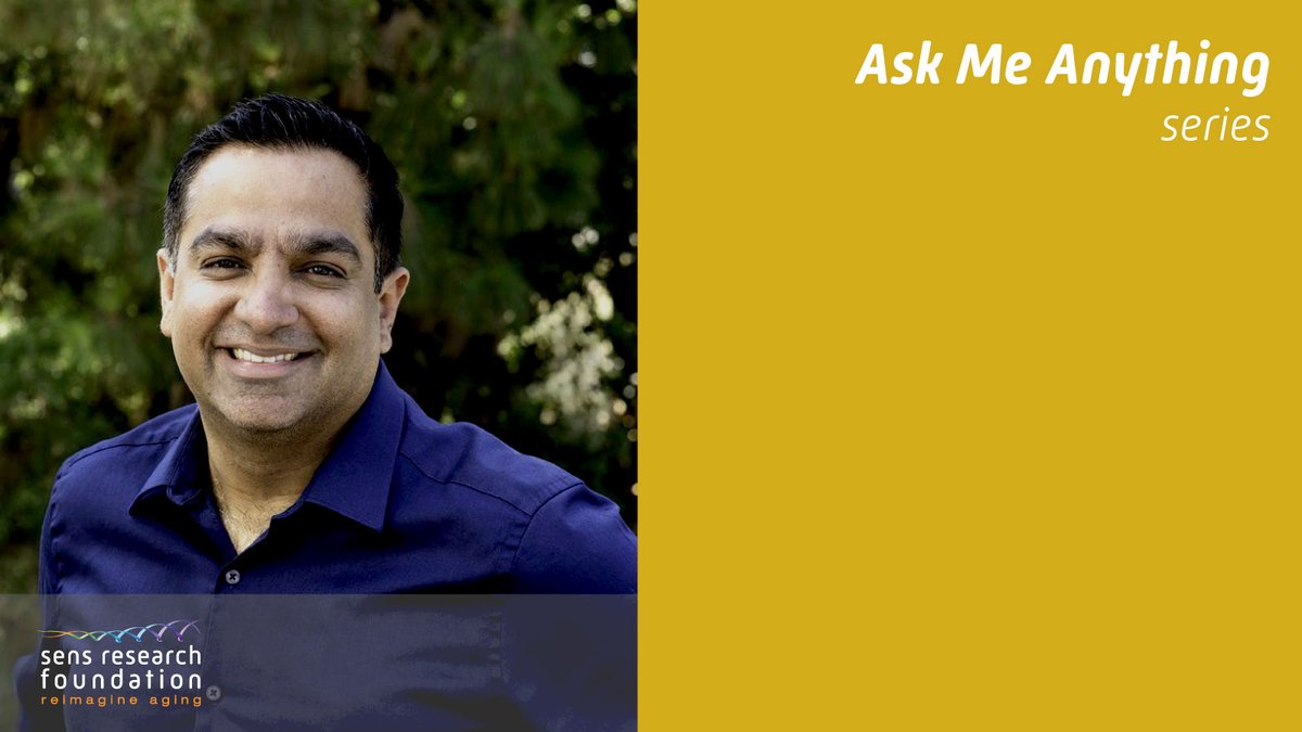 LifespanRI's tweet photo. SRF is doing AMAs with our researchers! What would you like to ask Dr. Amit Sharma about his project to enhance innate immune surveillance of senescent cells? https://t.co/MyX3KVEyCL
#apoptoSENS #sensresearchfoundation #endingaging #senolytics #proofofconcept https://t.co/umEtezfgu3