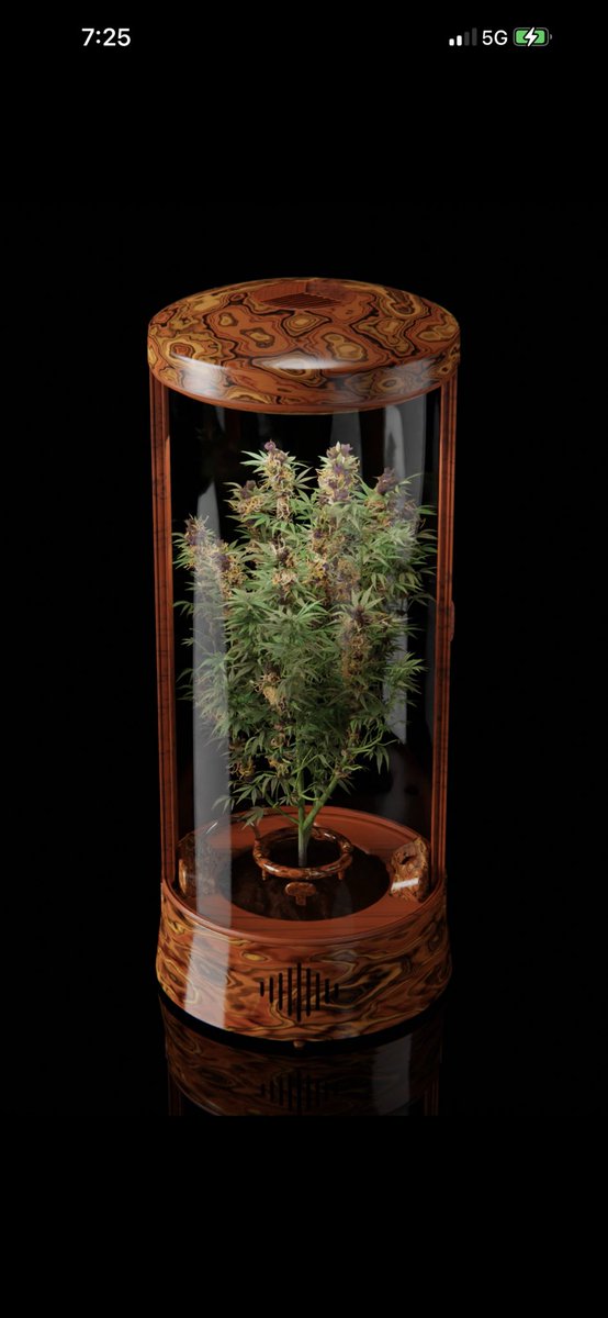 After you mint make sure to take a screenshot &amp; post on Twitter

The community will pick our favorites for the following prizes:

- CryptoGrow Burn NFT
- $250 ETH
- Extra Avatar NFT airdrop at delivery

Love you guys, LFGROWWW 🌿 🚀

#62 reporting for nutrients