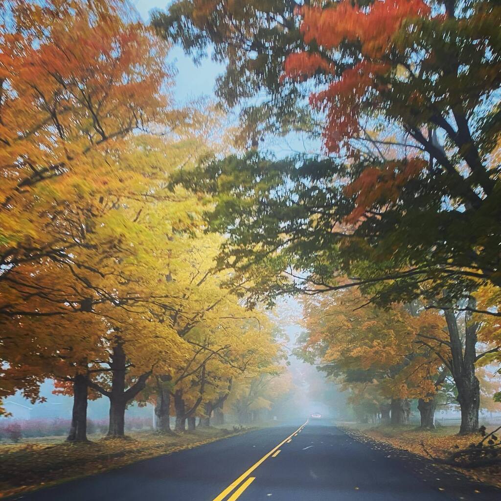 sarahjoydrop's tweet photo. My drive to work through rural Nova Scotia ❤️ #fall #prettyleaves #itsthelittlethings #novascotia #annapolisvalley #ilovenovascotia https://t.co/xUxSvL5hoJ https://t.co/wFalFqNq9C