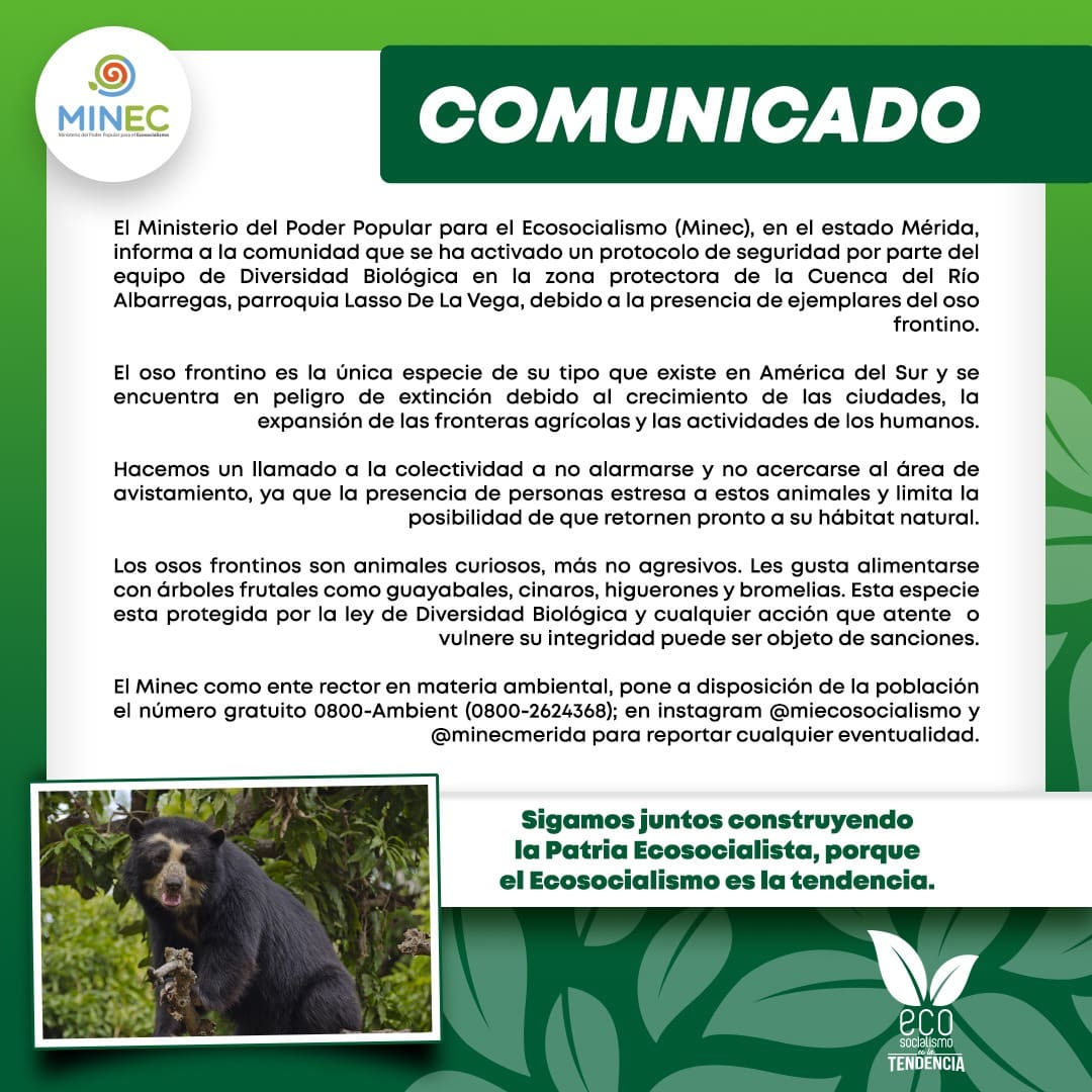#Minec anuncia a la población de Mérida que se activó un protocolo de Diversidad Biológica ante la presencia de osos frontinos en la zona protectora de la Cuenca del Río Albarregas, parroquia Lasso De La Vega.

#PuebloUnidoYActivo