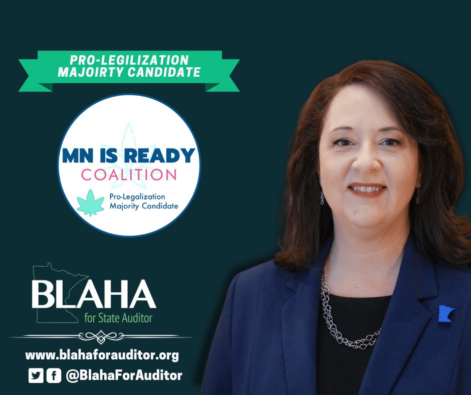 Blaha for Auditor tweet media