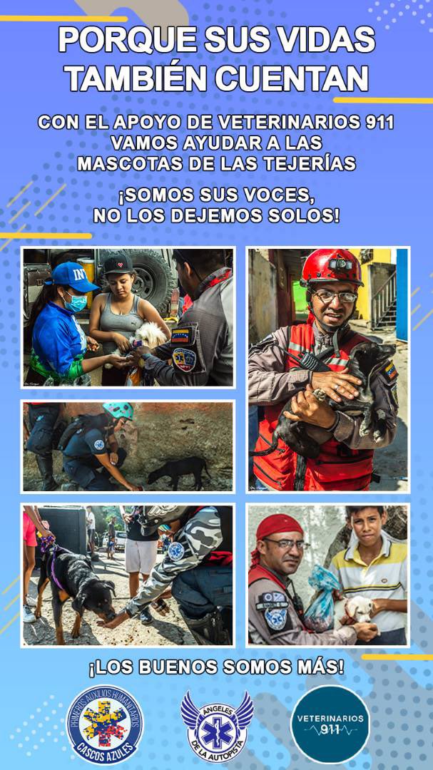 Cascos Azules VE tweet media