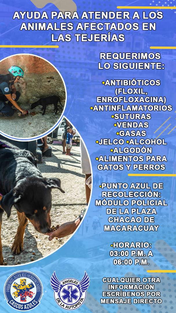 Cascos Azules VE tweet media