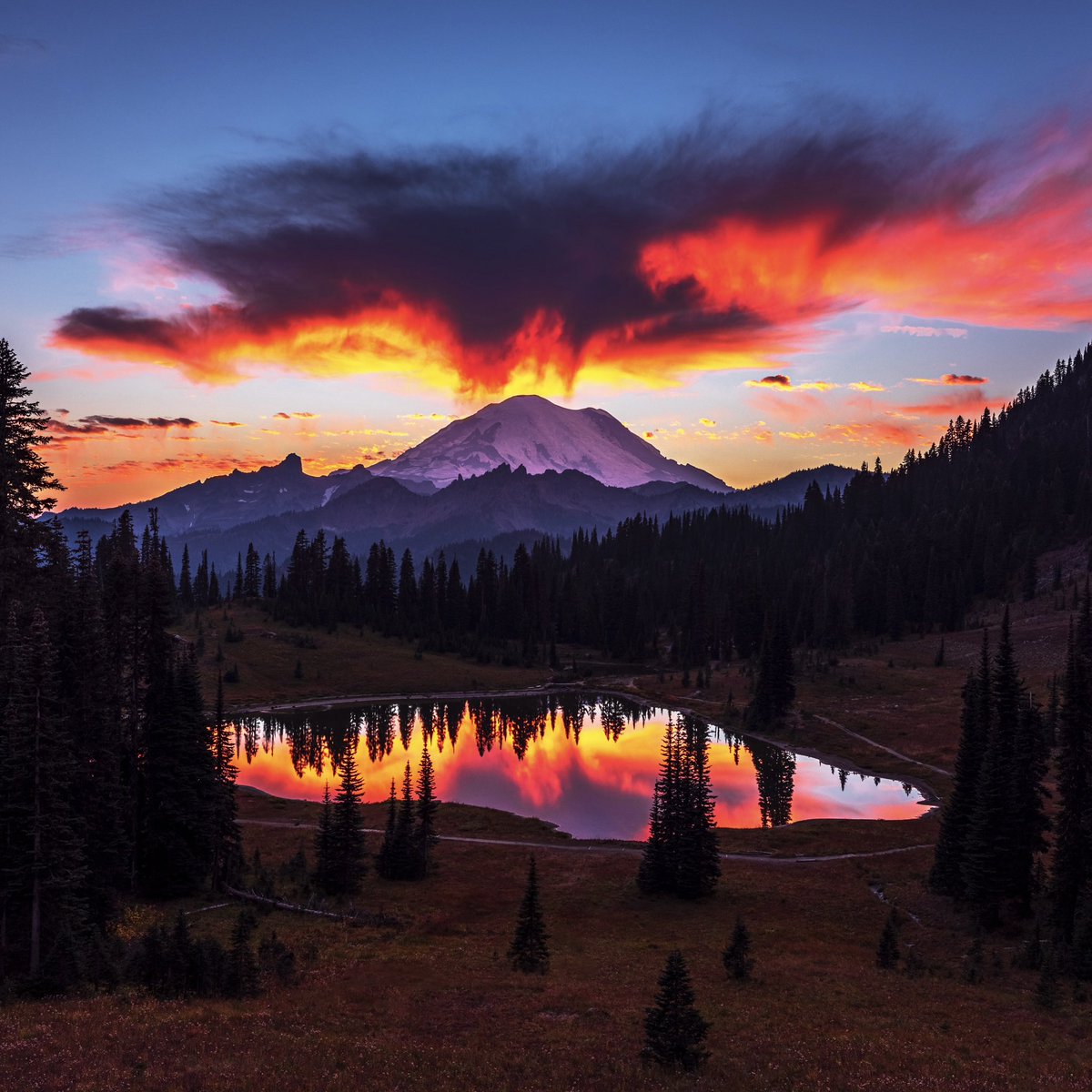 erikswartout's tweet photo. Hopefully there wasn’t any foreshadowing here….

Take last week at Tipsoo. #mtrainier #PNW #pnwphotography #rainier https://t.co/tkB29d1Wae