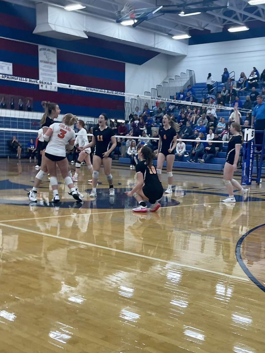 AHS Volleyball tweet media