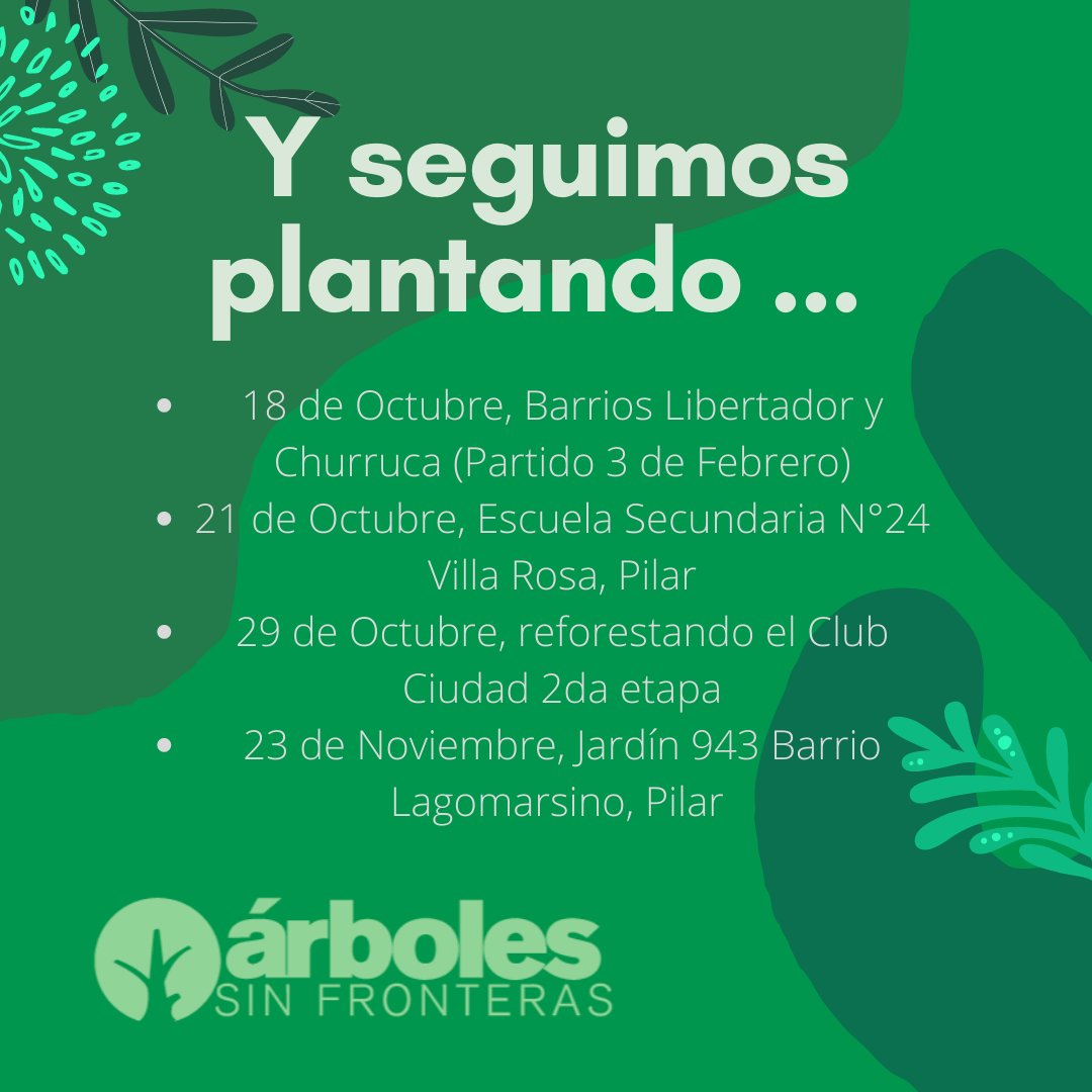 arbolessinfront's tweet photo. Plantando a todo ritmo 🎶🌳🦋 https://t.co/ZiSoGGdKAu