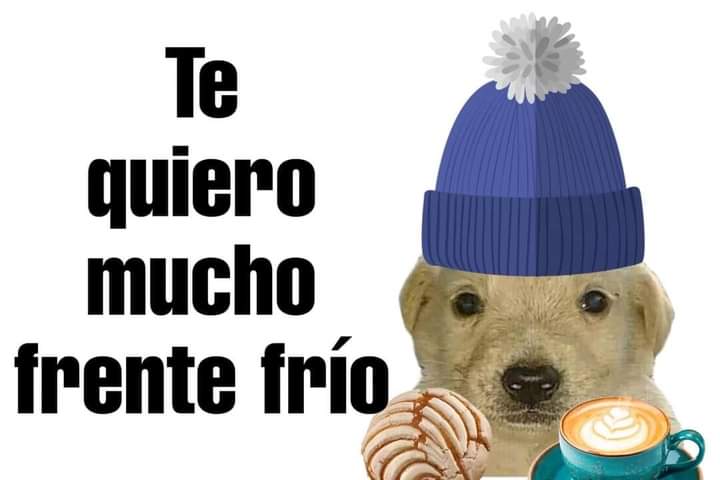 soysaverio's tweet photo. https://t.co/esWeXbdj95