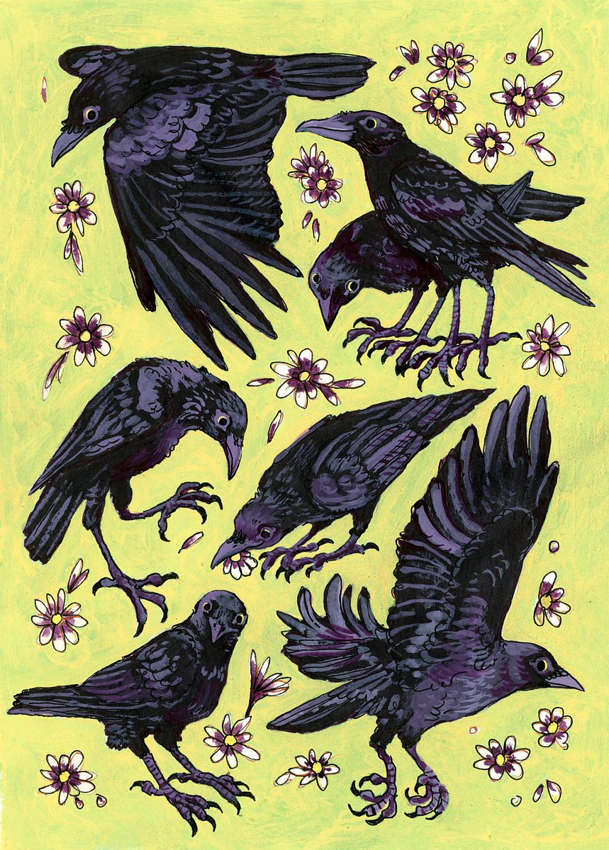 poodlewool's tweet photo. I just think they're neat :) https://t.co/ny5gn5R4aX