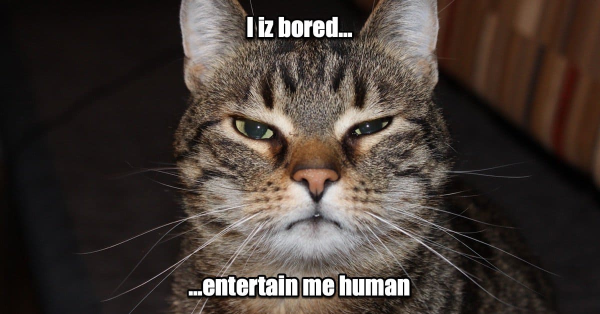 Home Office Gym tweet media