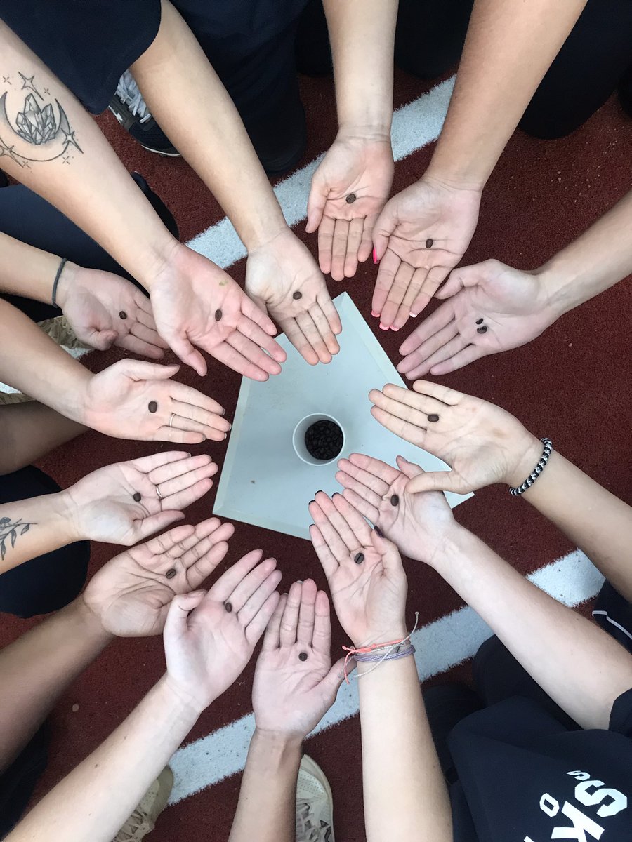 ElzeyMatt's tweet photo. The girls were taught the lesson of โThe Coffee Beanโ Itโs not just about playing softball itโs also about developing successful people! #skipjacks #skipjacksoftball #fastpitch #rolljacks #chesapeakecollege https://t.co/b2xOLlfFTq