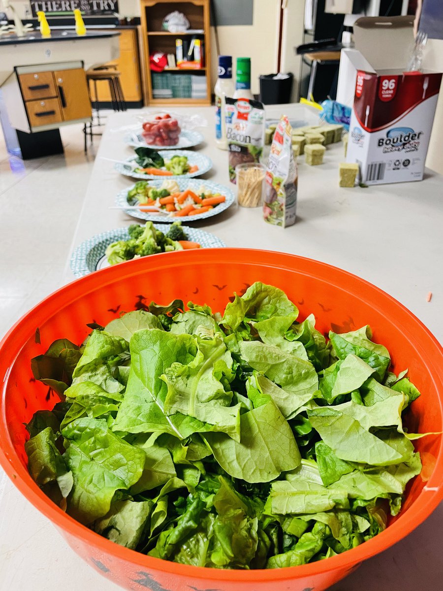 emscardinals's tweet photo. Mr. Kyle Stadalman’s 7th grade science classes have been growing lettuce! Here the 7th Hour brought an incredible spread to go along with the hydroponically grown lettuce! #WeAreEMS #twobagsofbaconbits https://t.co/DaumxiEP4w