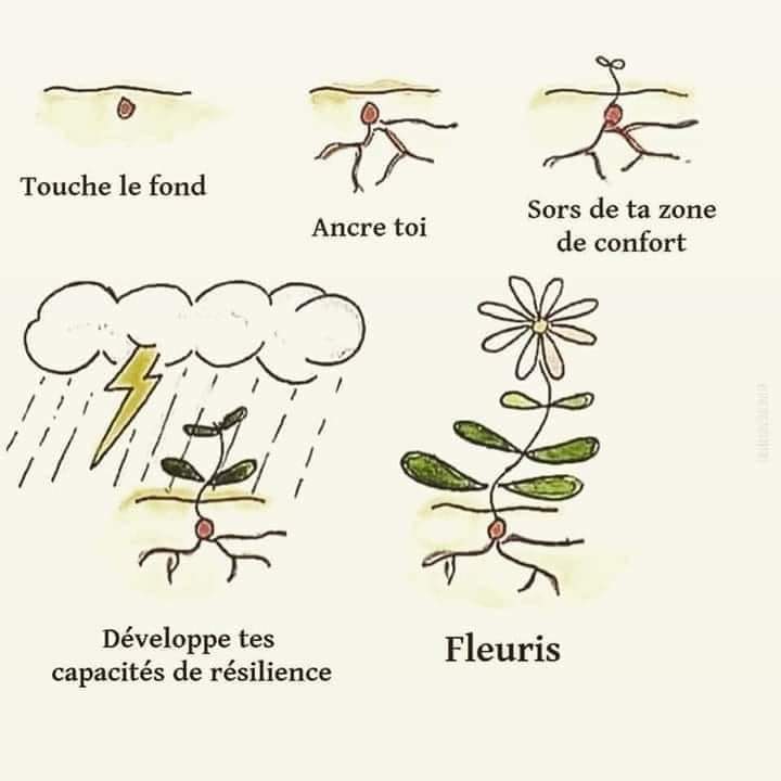 Mme St Pierre tweet media