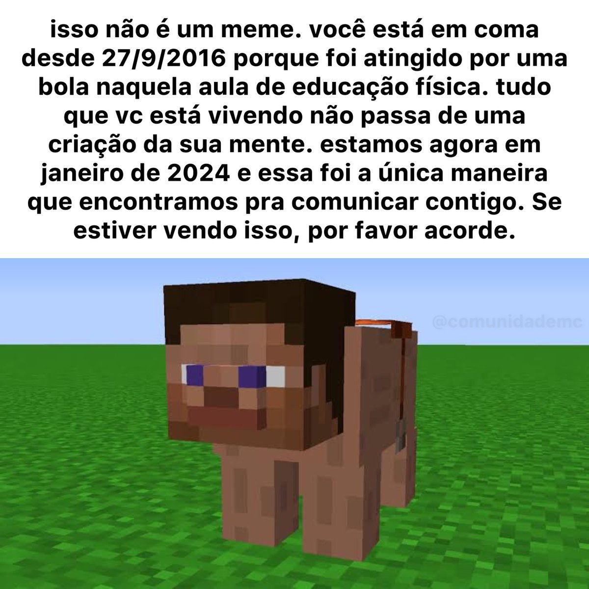 Comunidade de Minecraft on X:  / X