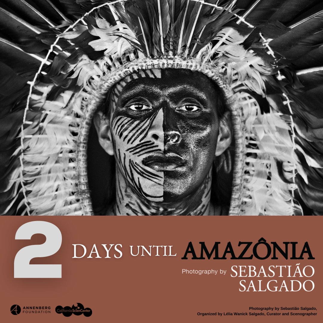 Only two days left to wait! Are you planning on visiting #Amazônia at the @casciencecenter? bit.ly/3D5n9uL #ArtistsForAmazonia