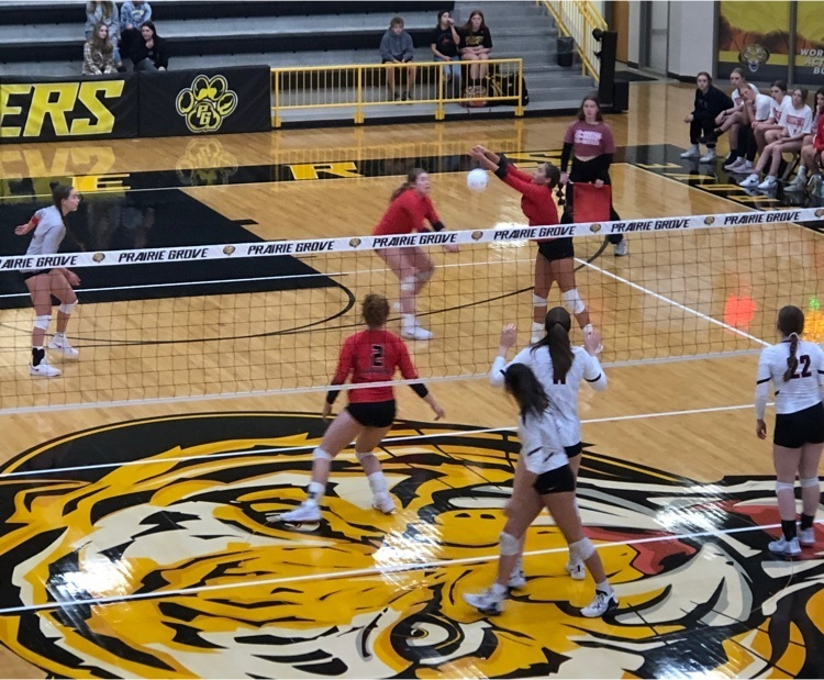 farmcards's tweet photo. Farmington Volleyball comes back from two sets down to defeat Pea Ridge to advance to the district finals tomorrow night at 6:30 in Prairie Grove! No quit in this team! #ESED #CardinalNation https://t.co/tNCPnDmbh3
