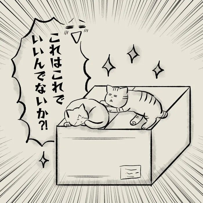 新しいキャットタワーを購入したけど思ってもいない事態に!?「使う以前の問題だった~!!」【連載】交通事故にあった猫を拾いました#85|ねこのきもちWEB MAGAZINE https://t.co/ToRitoowKF