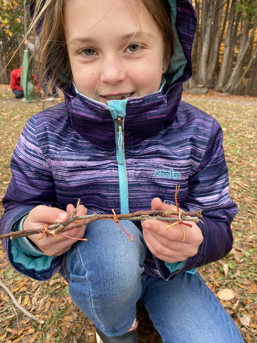 JuneauGr3's tweet photo. #TakeMeOutsideDay science challenge! Build a stable structure from found materials in the forest. Must say the innovation and creativity was on point 👏🏼👏🏼👏🏼 https://t.co/fguZ8XtmWG