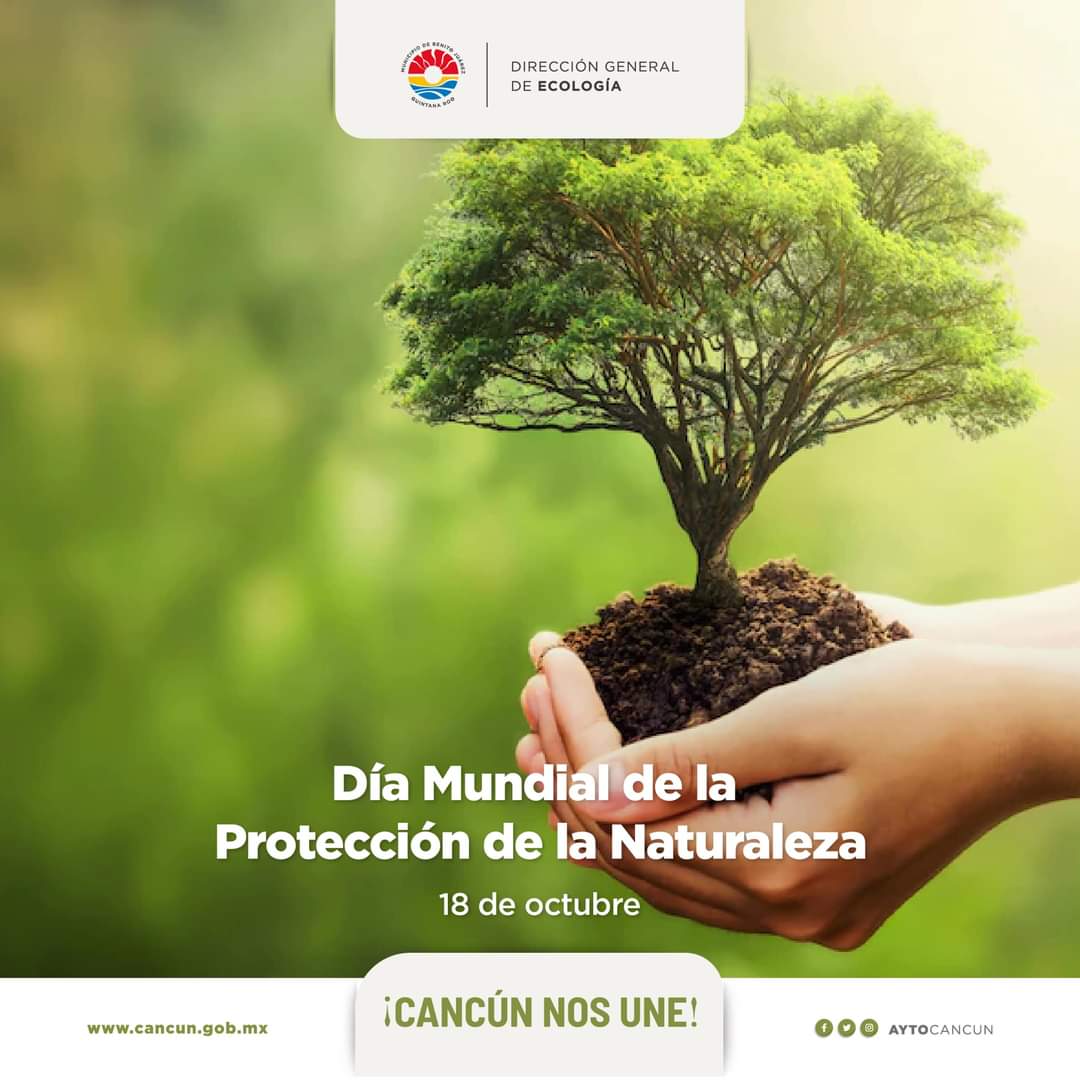 Katia Escobar tweet media