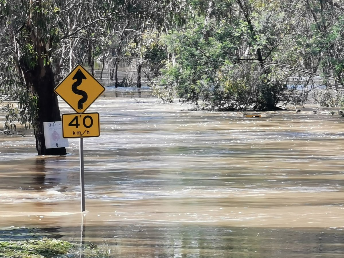 MoniquePreston3's tweet photo. Watt Rd bridge at Mooroopna is out of the water, but I don't think anyone will be driving along the southern side of it for a while @sheppartonnews #vicfloods https://t.co/soKsCyE1o2