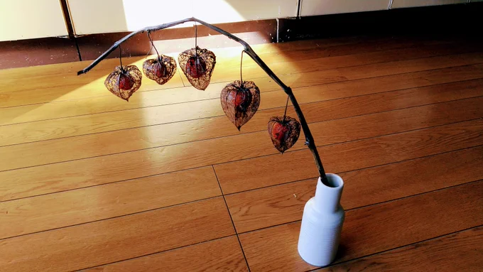 みてみて凄くない自然の芸術 