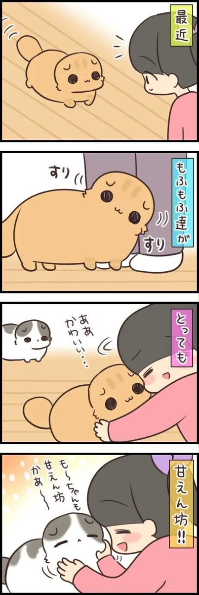 あからさますぎる!? 猫のテンションが急降下する瞬間【連載】もふもふスコたん#248|ねこのきもちWEB MAGAZINE https://t.co/fho5LM8VY0