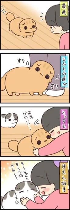 あからさますぎる!? 猫のテンションが急降下する瞬間【連載】もふもふスコたん#248|ねこのきもちWEB MAGAZINE https://t.co/fho5LM8VY0 