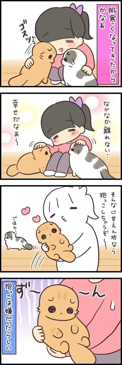 あからさますぎる!? 猫のテンションが急降下する瞬間【連載】もふもふスコたん#248|ねこのきもちWEB MAGAZINE https://t.co/fho5LM8VY0