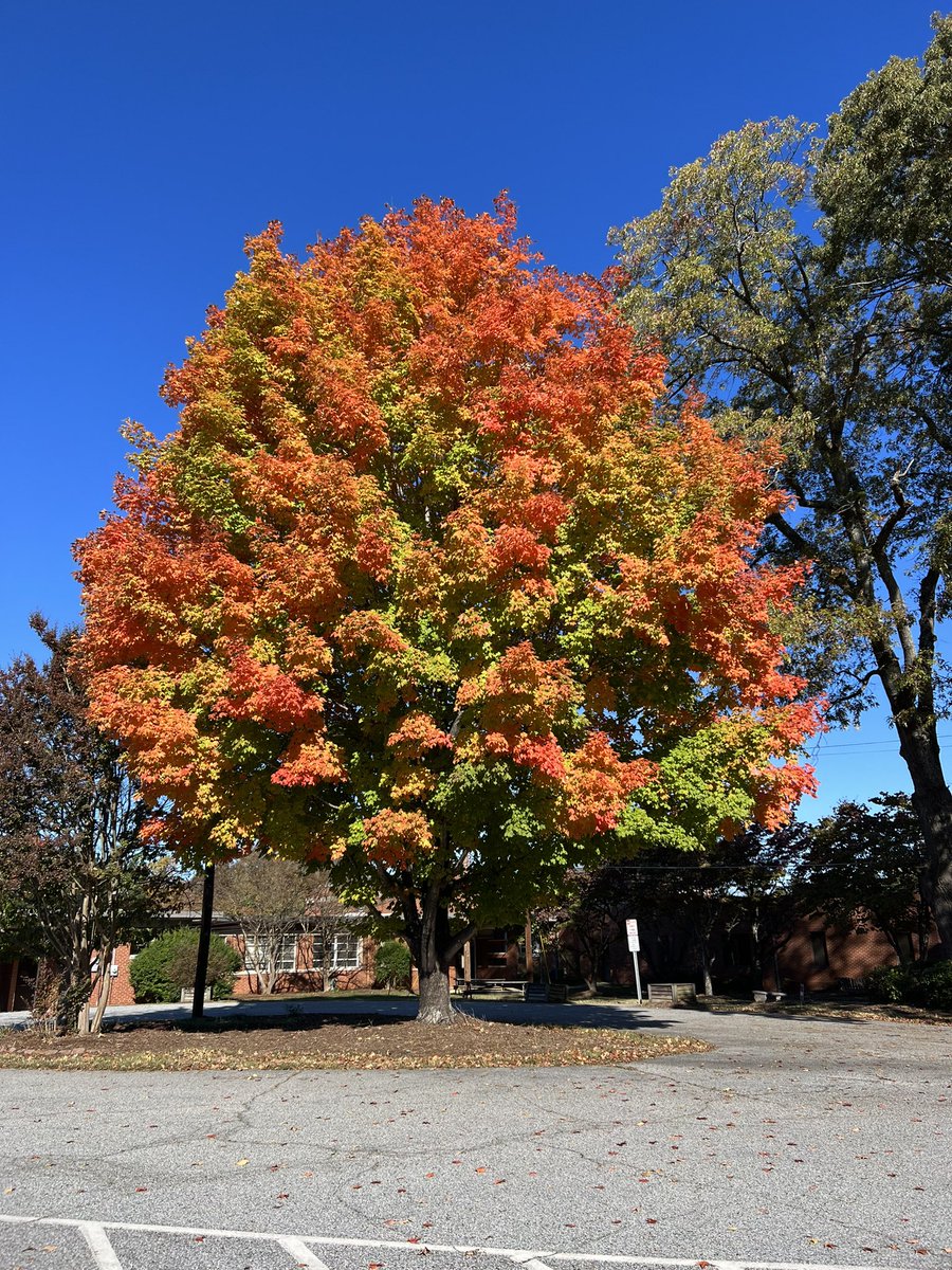 Old faithful! My 5th year at Laughlin 🙂