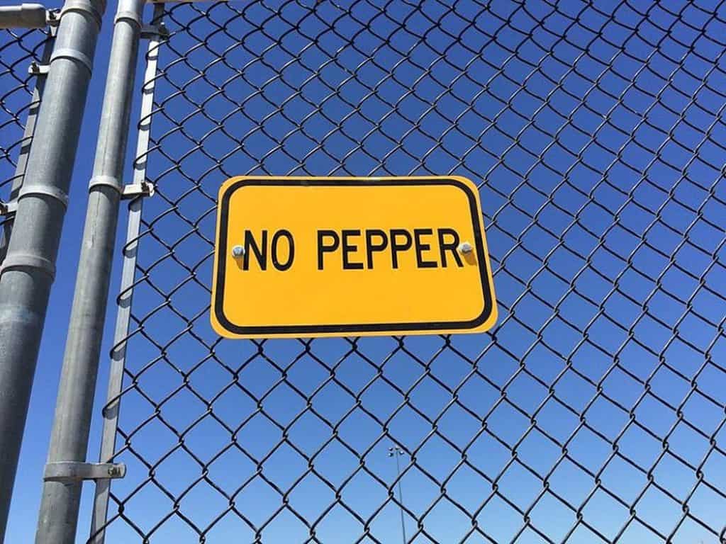 bodotdot's tweet photo. Hey HEY What did I tell you kids? Break it up. #nopepper https://t.co/YAO5VlGIuP