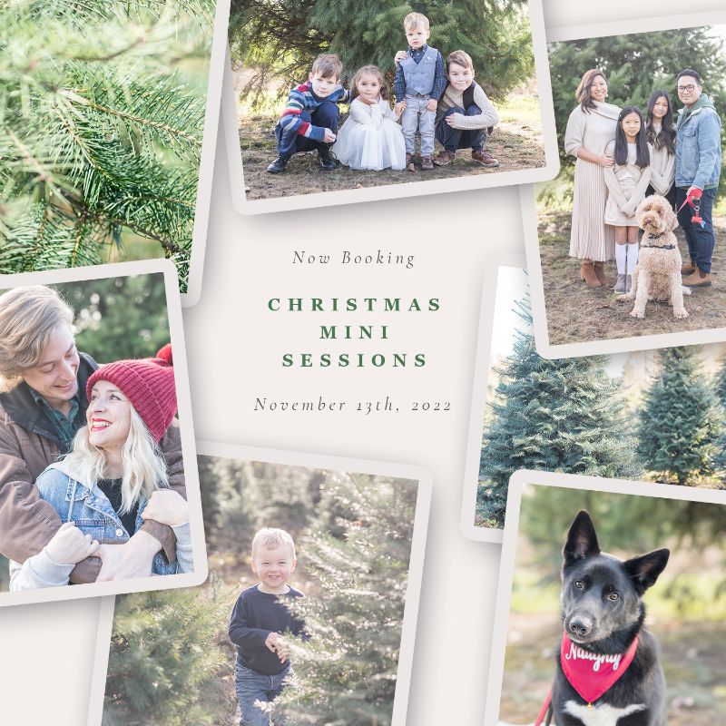Only 4 Christmas Mini Sessions left! 🎄 - mailchi.mp/93c23c99d11c/t…