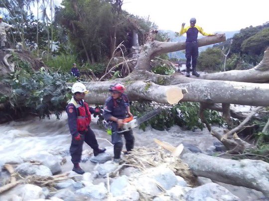 RCR750's tweet photo. Bomberos #ULA, #Mérida y Forestales trabajan conjuntamente en la tala de árboles ubicados en el cauce del río La #Pedregosa. Vía @leoperiodista https://t.co/VbpY9DnZFB