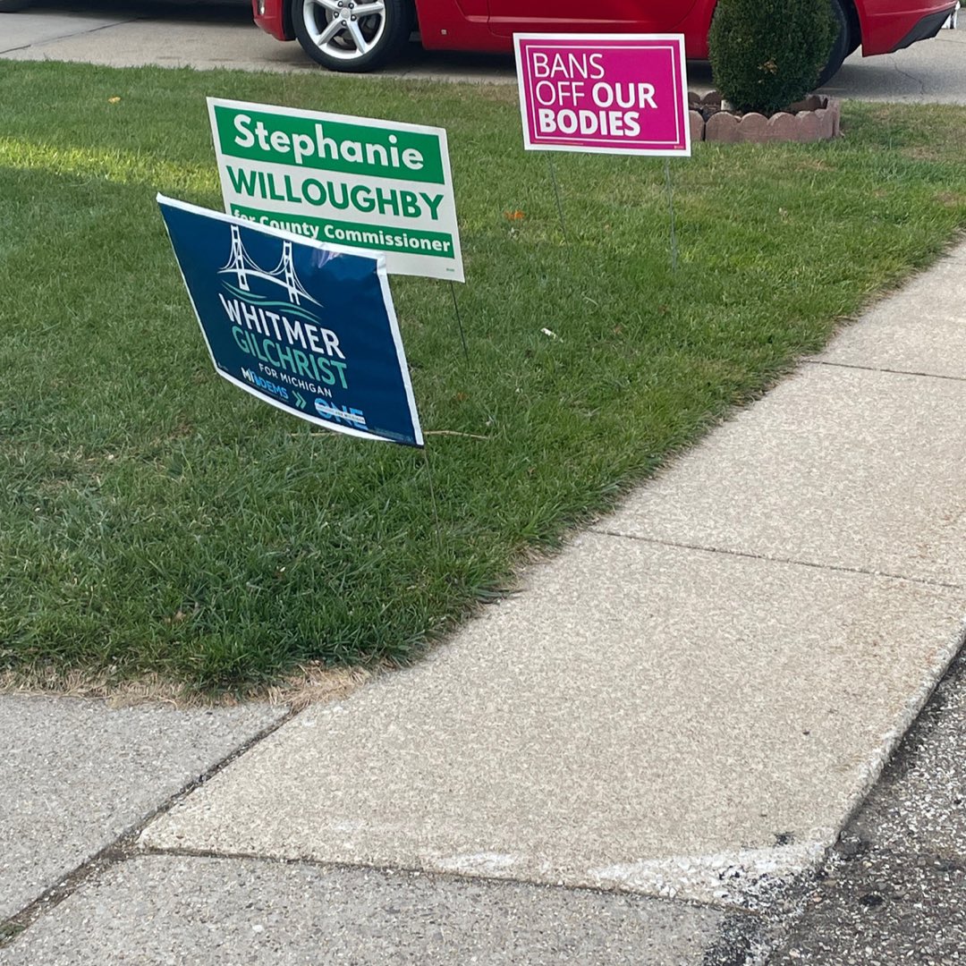 vote4willo's tweet photo. It’s so cool when you’re out knocking on doors and see your sign!! https://t.co/z3Qzg5XLsY