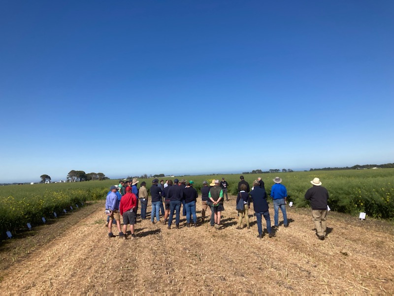 FAR Australia tweet media