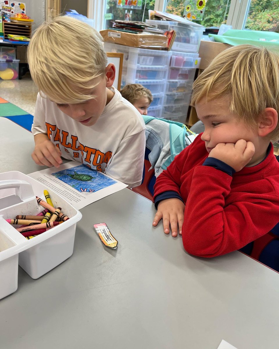 Tina Mikula tweet media