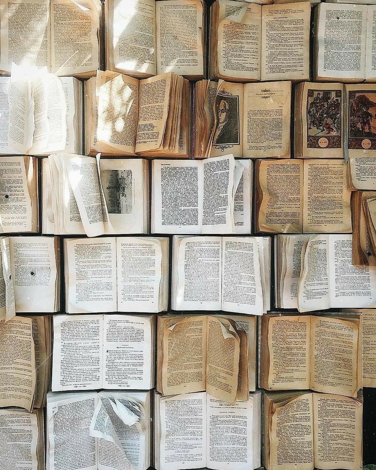 softdeIicacy's tweet photo. oh to be surrounded by books. https://t.co/xeUlCiPHie