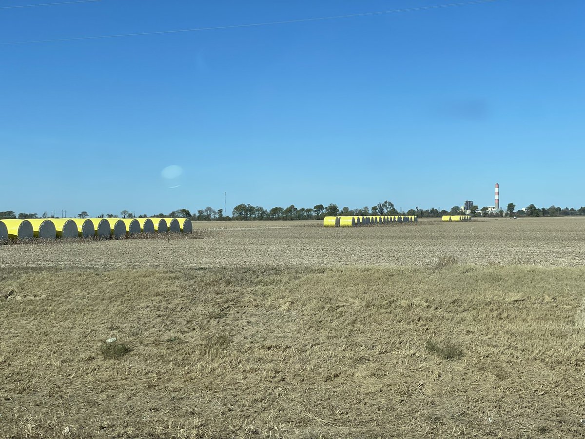 MalloryRahe's tweet photo. Enjoying my visit to SE Missouri- the cotton harvest (and rice, peanut, corn &amp; soy harvest) is underway! https://t.co/Vu4zOCm2GD