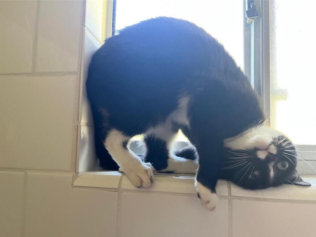 Cute Animal Pictures tweet media