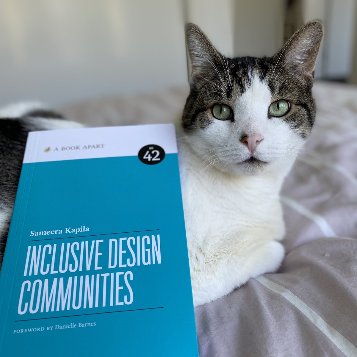 elle@tinnies.club tweet media