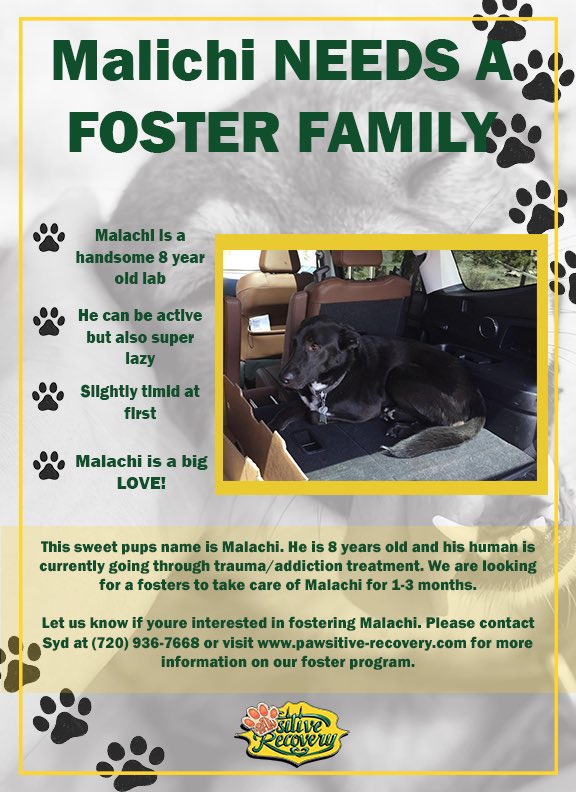 PAWsitiveRecov1's tweet photo. Sweet Malichi needs a temporary foster while is human is going into treatment! Let us know if you are interested #recovery #dogrescue #cats #dogsandrecovery #sober #soberlife #nodrugsnoproblem #animalrescue #soberliving #fosterdogs #fuckheroin #soberaf #dogfosterneeded #dogfoster https://t.co/ILjtGdVfZy