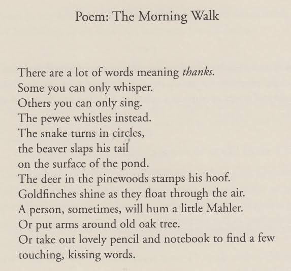 Morning Walk by Mary Oliver ✍🏼