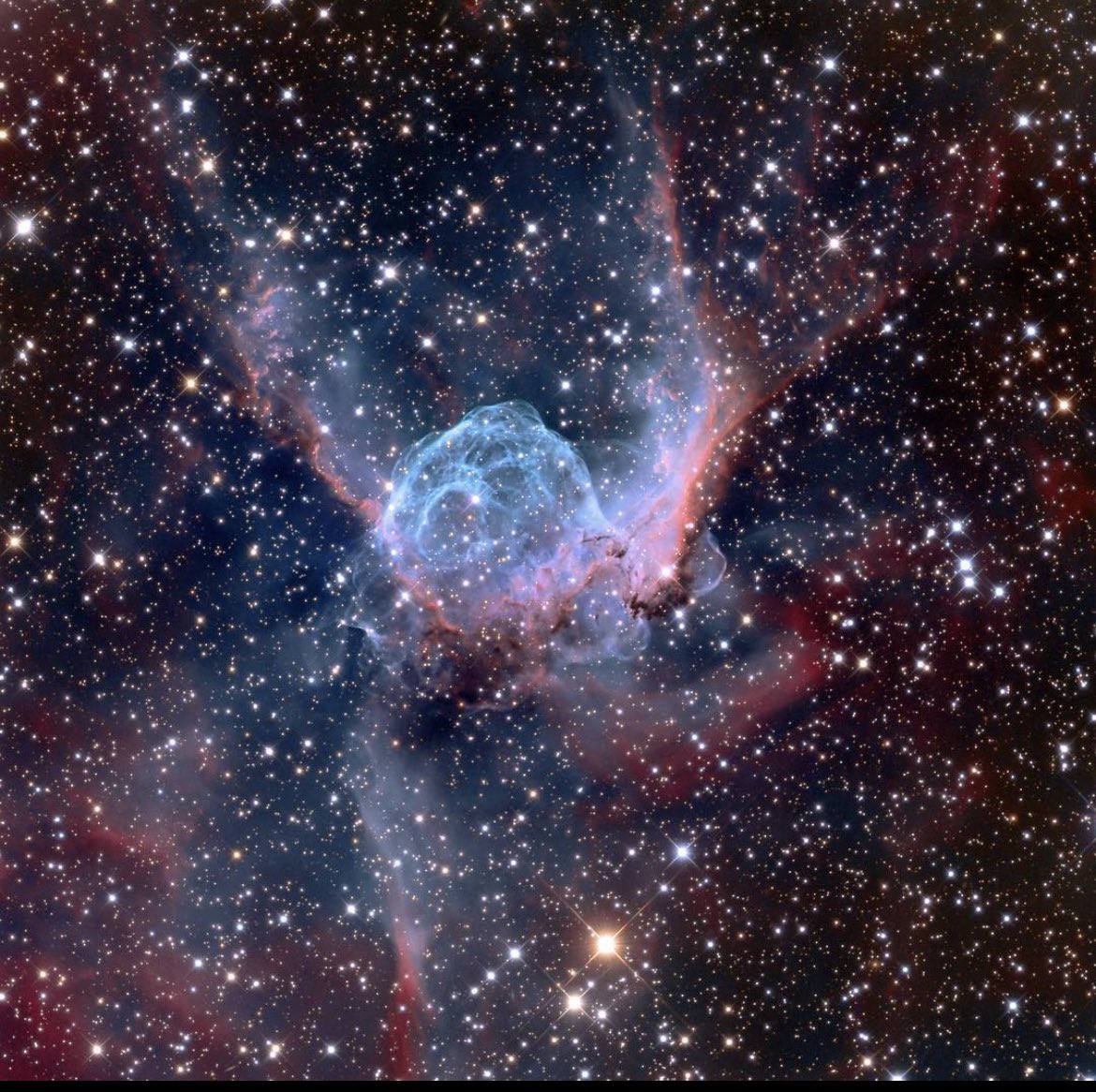 spacembraced's tweet photo. Check out this #nebula known as Thor's helmet (NGC 2359). It's located 15,000 light years away in the constellation Cans Major. From end to end, it measures 30 light years across!!
Taken by: Sky Lemon Observatory
#Astrophotography #space #constellation #nasa #ASTRO https://t.co/2SglcouFGi