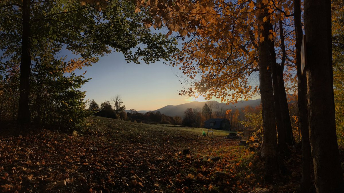 VKing311005's tweet photo. Gn frens!

#nature #photographer #photography #sunset #fall https://t.co/aa0AcnoL74
