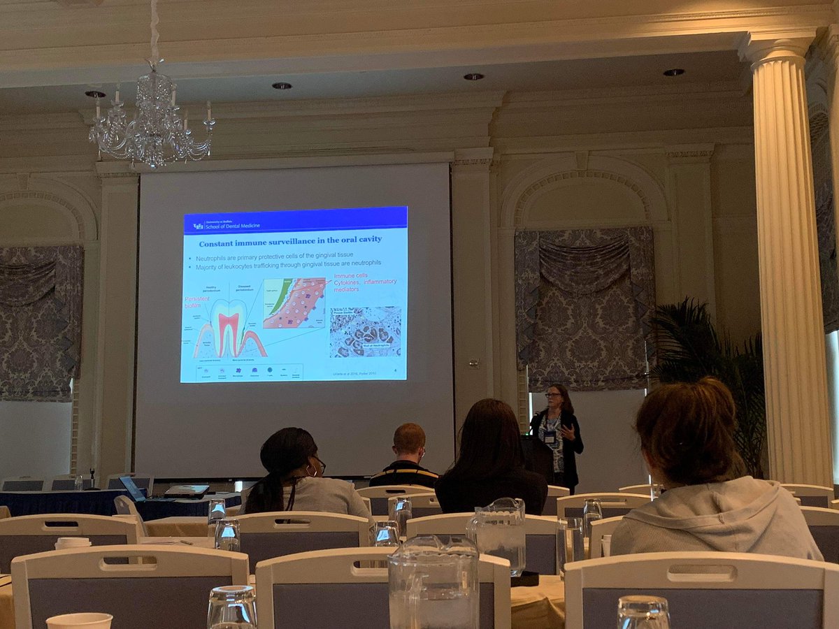 VisserLab's tweet image. A great week at #NYIC2022!!
Enjoying the beautiful location and great science 😀