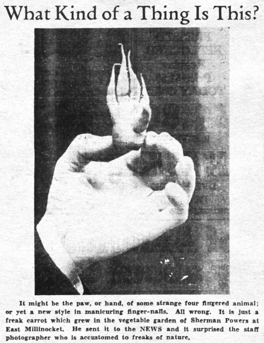 The Bangor Daily News, Maine, August 24, 1937