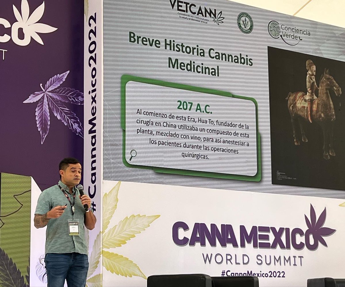 AMEXME León tweet media