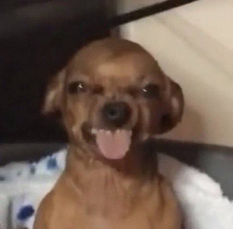 okboolslime's tweet image. I woulda sent him this