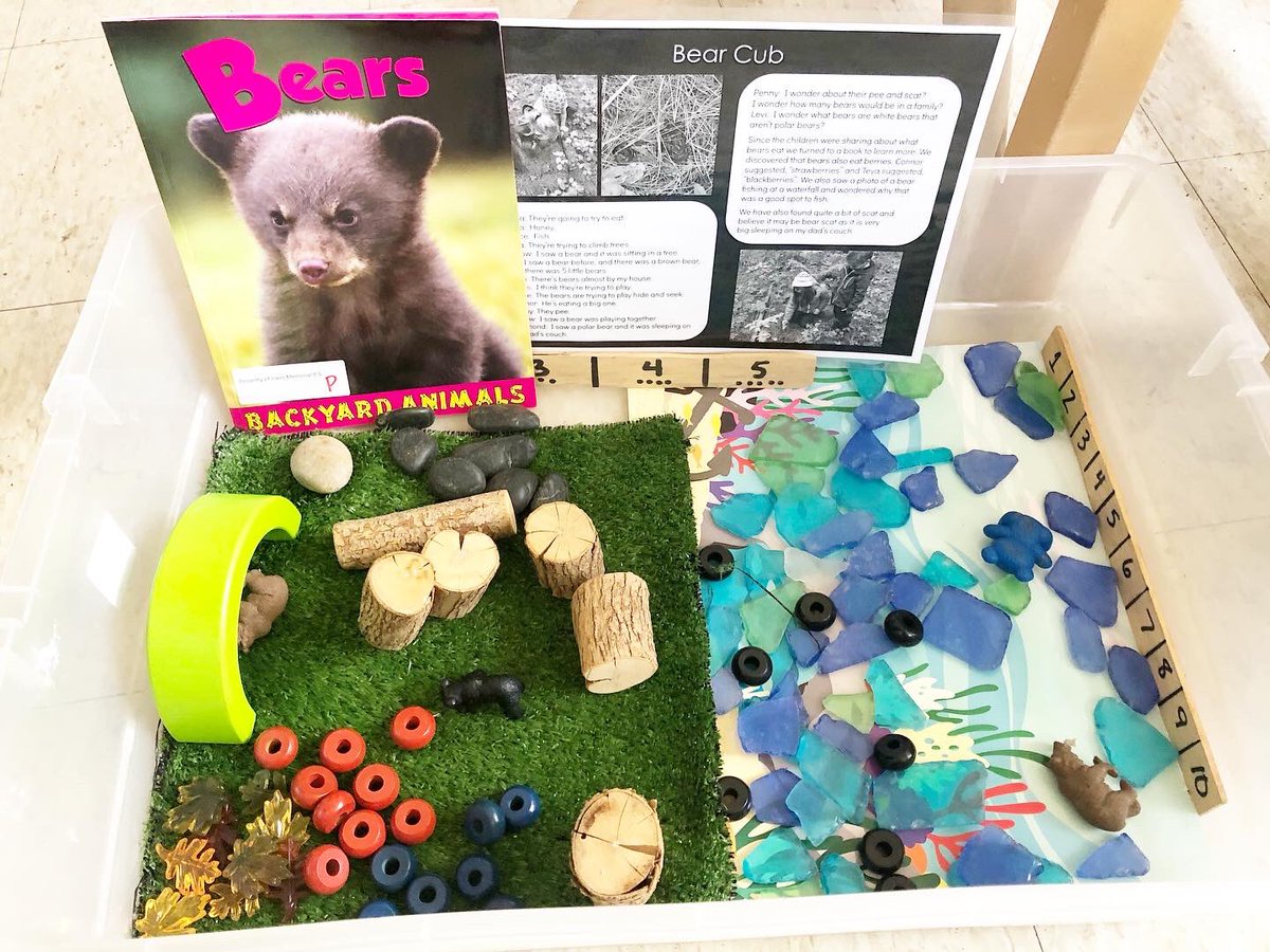 Bring the playscapes outdoors! 🌱

Here’s one of our current portable playscapes with documentation in tow. If you’re wondering how to bring a playscape from indoors to outdoors, try a bin. 

#kindergarten #fdk #tldsblearns