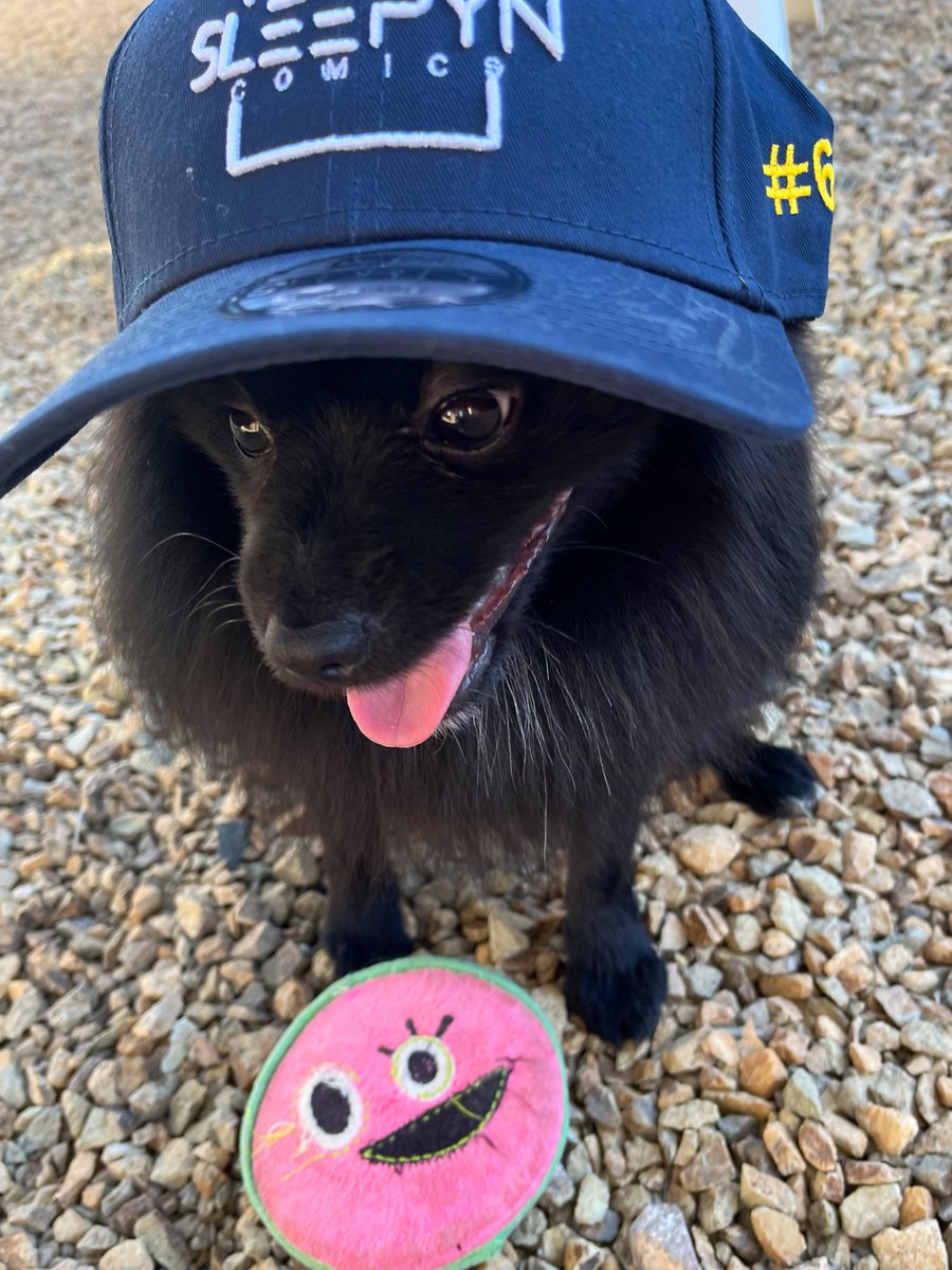 EllaMonkima's tweet photo. My Pom, VeVe, loves to wear my #60 @SleepynComics hat! Ty, gonna look sharp at #DCon ⭐️ #comics #vevefam 🧢⭕️🧢 https://t.co/1qxkgSyW51